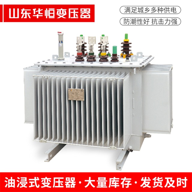 S13-10000/35城固城固城固电力变压器